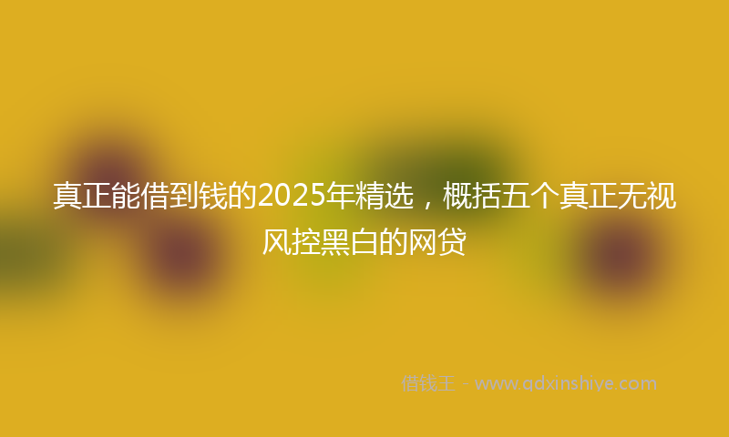 真正能借到钱的2025年精选，概括五个真正无视风控黑白的网贷