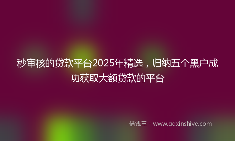 秒审核的贷款平台2025年精选，归纳五个黑户成功获取大额贷款的平台
