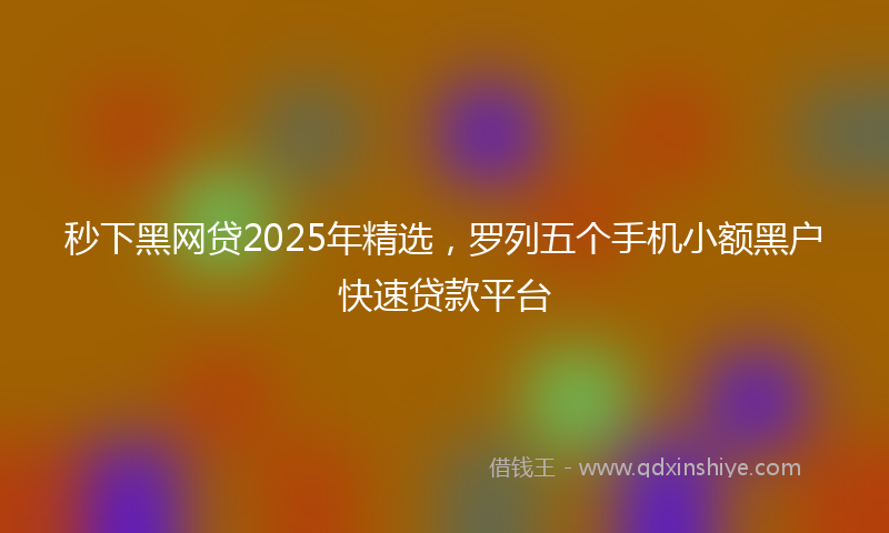 秒下黑网贷2025年精选，罗列五个手机小额黑户快速贷款平台