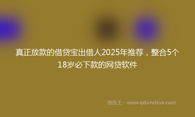 真正放款的借贷宝出借人2025年推荐,整合5个18岁必下款的网贷软件