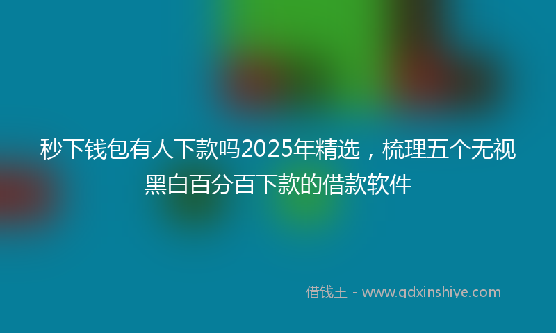 秒下钱包有人下款吗2025年精选，梳理五个无视黑白百分百下款的借款软件