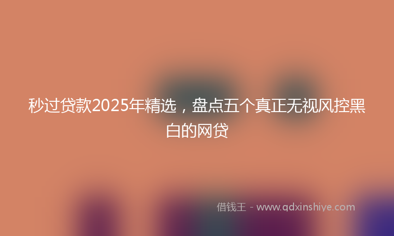 秒过贷款2025年精选，盘点五个真正无视风控黑白的网贷