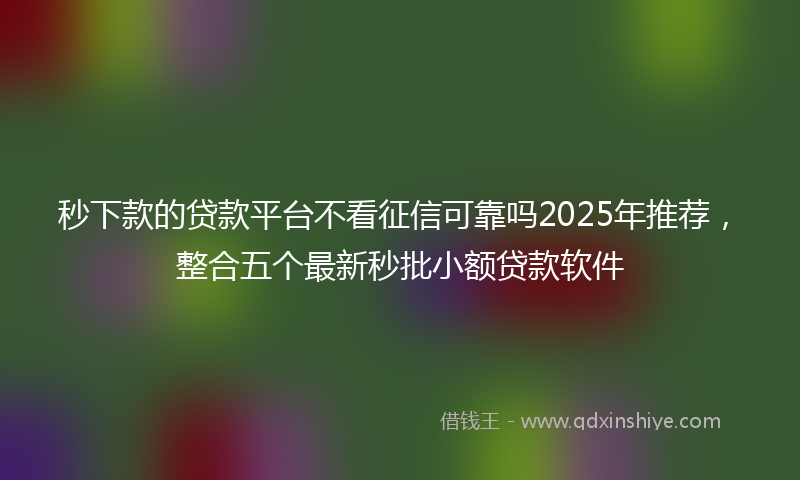 秒下款的贷款平台不看征信可靠吗2025年推荐，整合五个最新秒批小额贷款软件