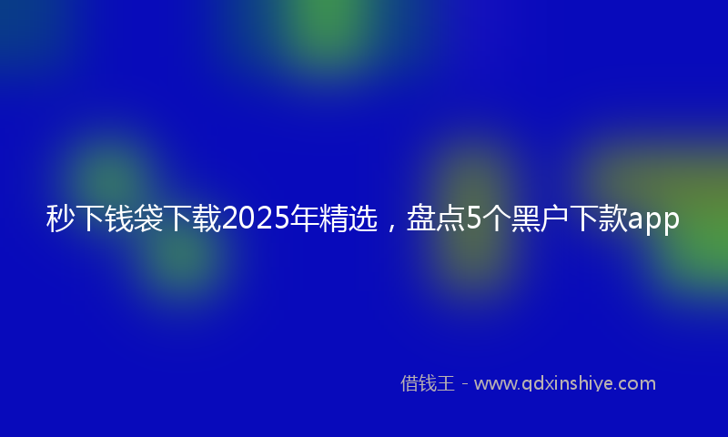秒下钱袋下载2025年精选，盘点5个黑户下款app