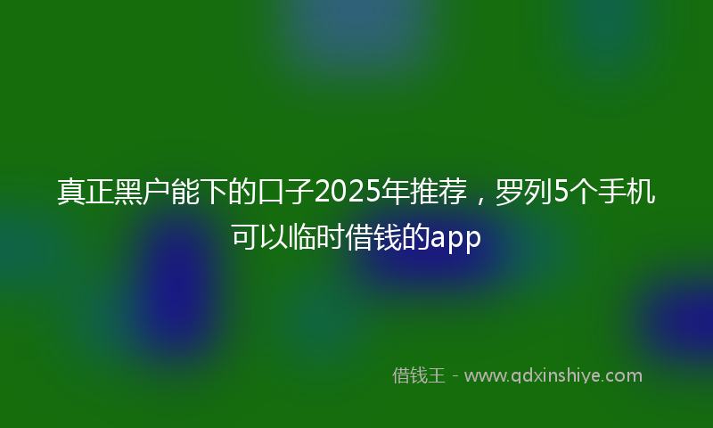 真正黑户能下的口子2025年推荐，罗列5个手机可以临时借钱的app