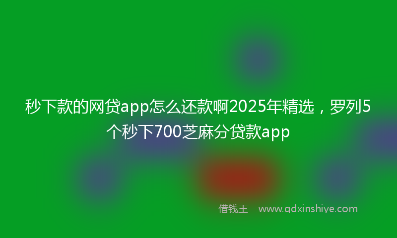 秒下款的网贷app怎么还款啊2025年精选，罗列5个秒下700芝麻分贷款app