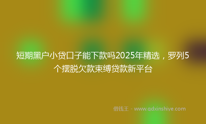 短期黑户小贷口子能下款吗2025年精选，罗列5个摆脱欠款束缚贷款新平台