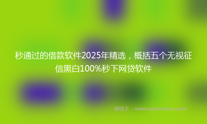秒通过的借款软件2025年精选，概括五个无视征信黑白100%秒下网贷软件