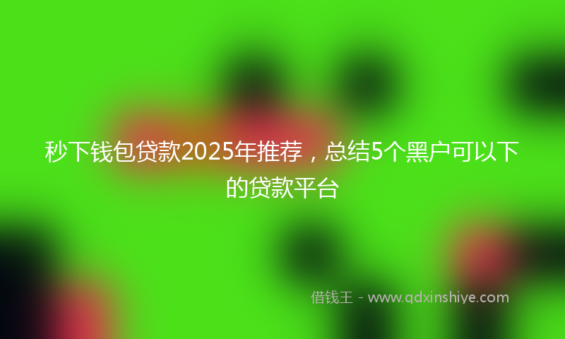 秒下钱包贷款2025年推荐，总结5个黑户可以下的贷款平台
