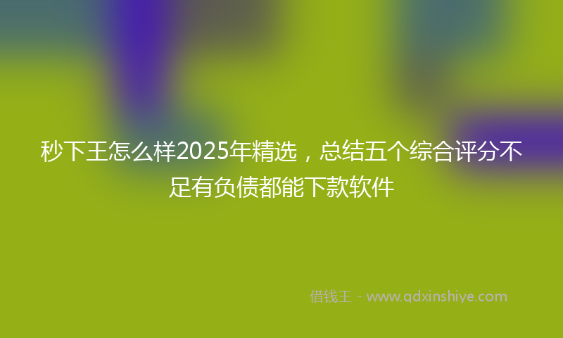 秒下王怎么样2025年精选，总结五个综合评分不足有负债都能下款软件