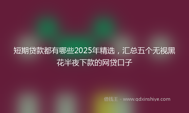 短期贷款都有哪些2025年精选，汇总五个无视黑花半夜下款的网贷口子