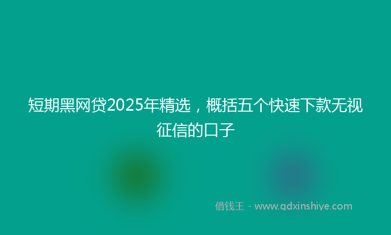 短期黑网贷2025年精选，概括五个快速下款无视征信的口子