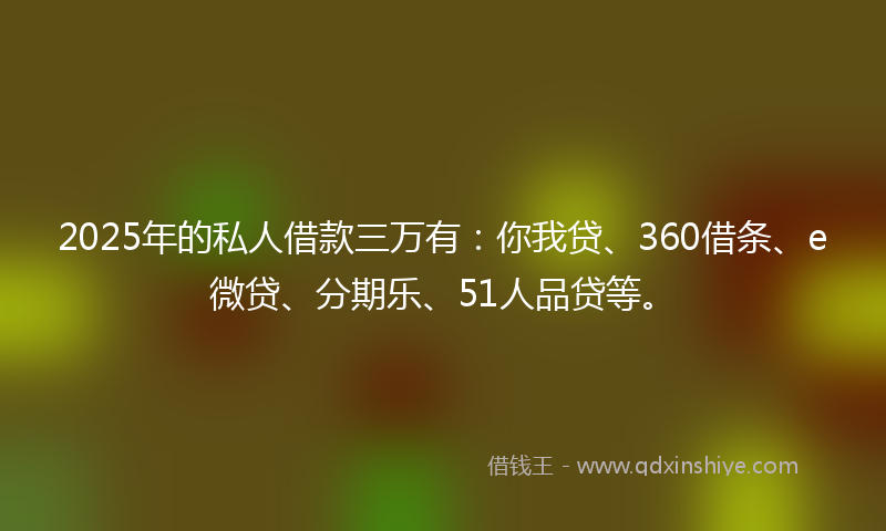 2025年的私人借款三万有：你我贷、360借条、e微贷、分期乐、51人品贷等。