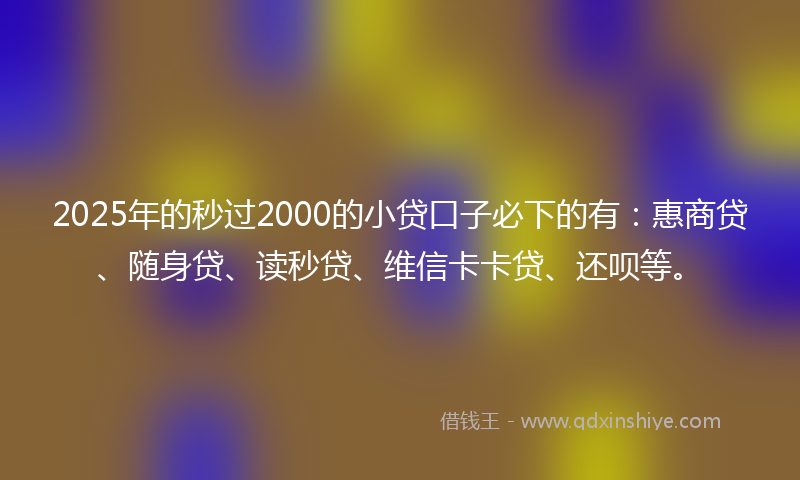 2025年的秒过2000的小贷口子必下的有：惠商贷、随身贷、读秒贷、维信卡卡贷、还呗等。