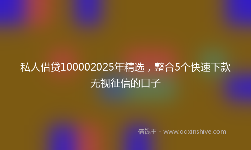 私人借贷100002025年精选，整合5个快速下款无视征信的口子