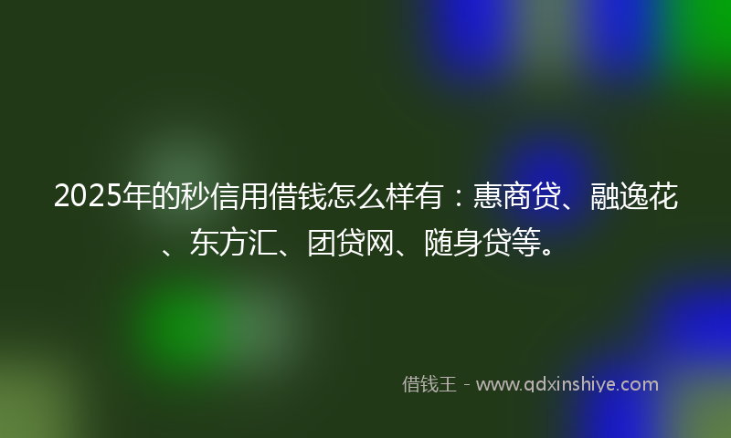 2025年的秒信用借钱怎么样有：惠商贷、融逸花、东方汇、团贷网、随身贷等。