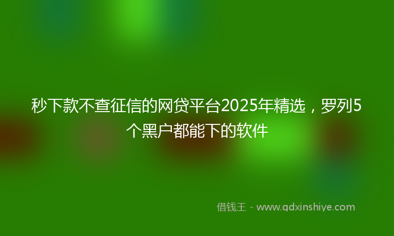 秒下款不查征信的网贷平台2025年精选，罗列5个黑户都能下的软件