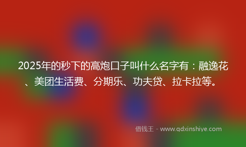 2025年的秒下的高炮口子叫什么名字有：融逸花、美团生活费、分期乐、功夫贷、拉卡拉等。