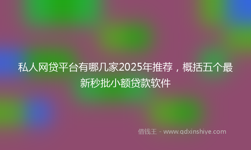 私人网贷平台有哪几家2025年推荐，概括五个最新秒批小额贷款软件