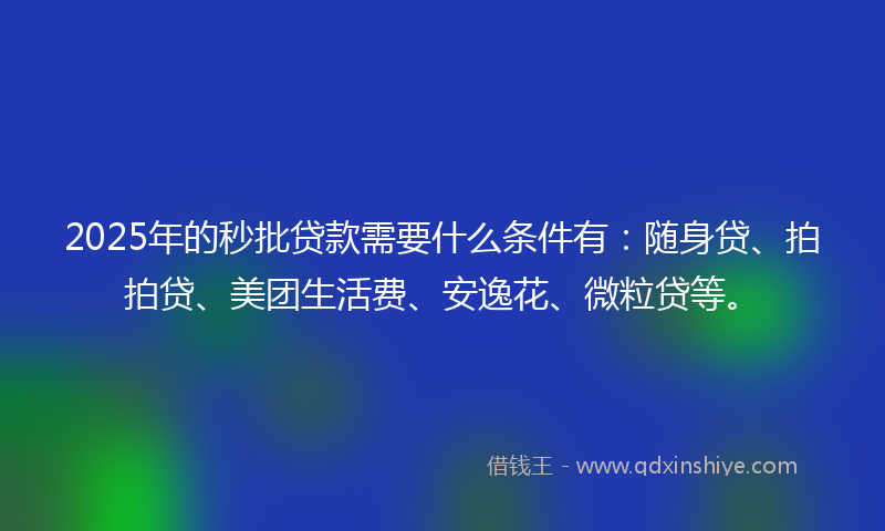 2025年的秒批贷款需要什么条件有：随身贷、拍拍贷、美团生活费、安逸花、微粒贷等。