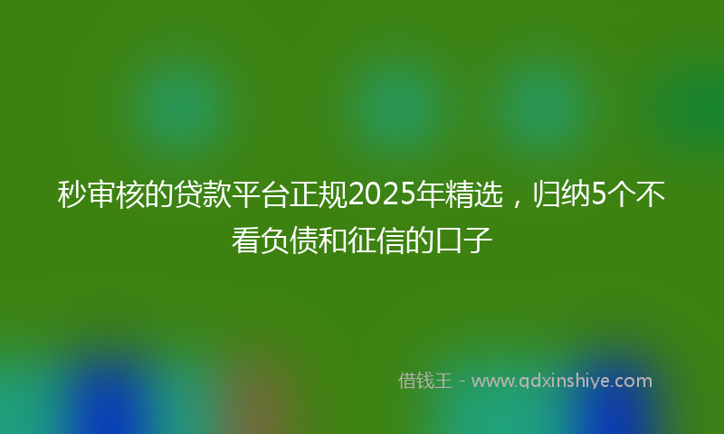 秒审核的贷款平台正规2025年精选，归纳5个不看负债和征信的口子