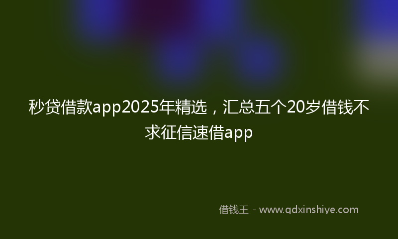 秒贷借款app2025年精选，汇总五个20岁借钱不求征信速借app