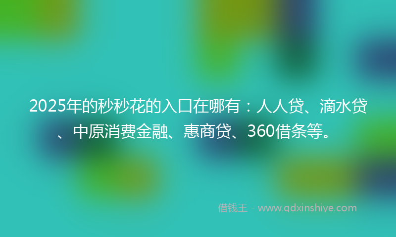 2025年的秒秒花的入口在哪有：人人贷、滴水贷、中原消费金融、惠商贷、360借条等。
