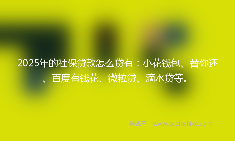 2025年的社保贷款怎么贷有：小花钱包、替你还、百度有钱花、微粒贷、滴水贷等。