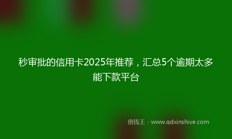秒审批的信用卡2025年推荐，汇总5个逾期太多能下款平台