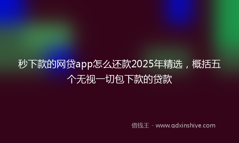 秒下款的网贷app怎么还款2025年精选，概括五个无视一切包下款的贷款
