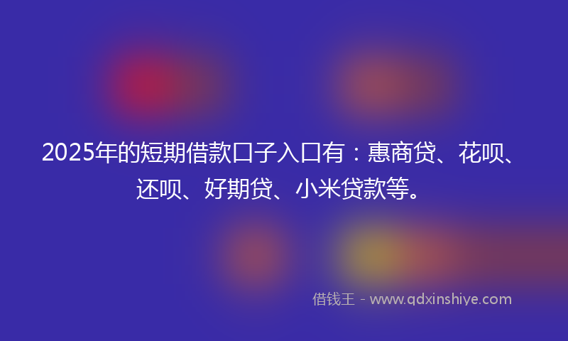 2025年的短期借款口子入口有：惠商贷、花呗、还呗、好期贷、小米贷款等。