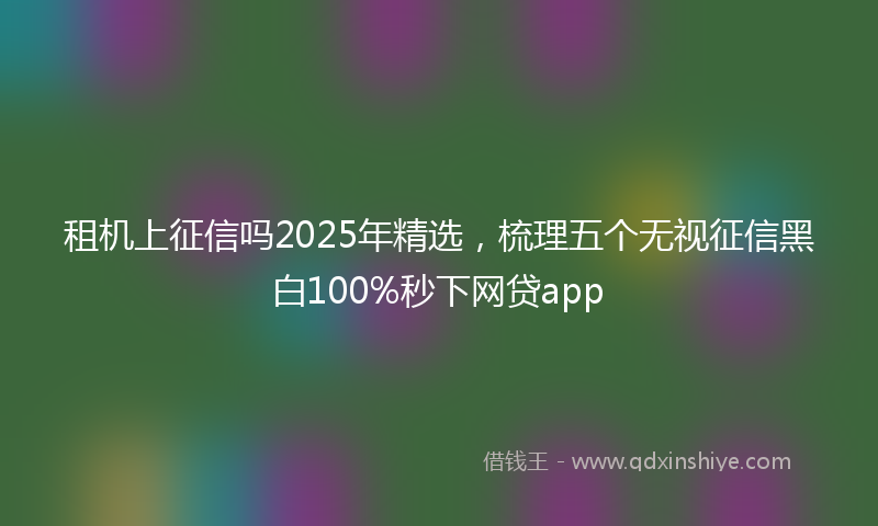 租机上征信吗2025年精选，梳理五个无视征信黑白100%秒下网贷app