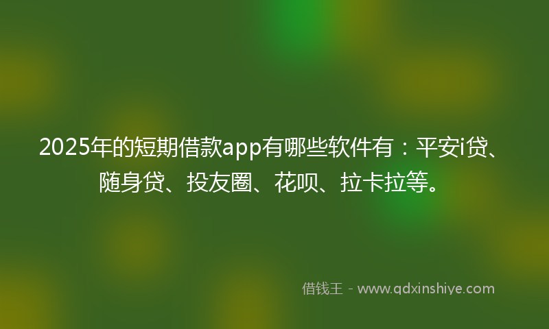 2025年的短期借款app有哪些软件有：平安i贷、随身贷、投友圈、花呗、拉卡拉等。