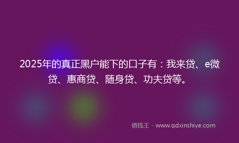 2025年的真正黑户能下的口子有：我来贷、e微贷、惠商贷、随身贷、功夫贷等。