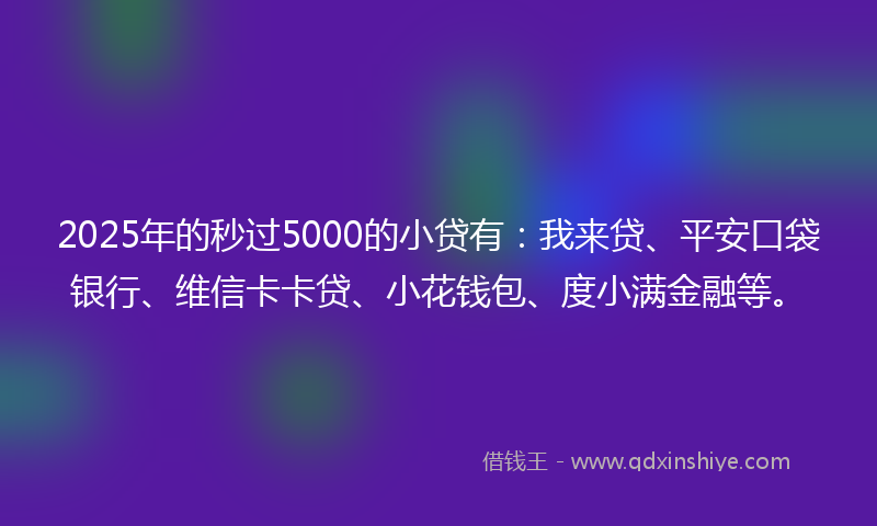 2025年的秒过5000的小贷有：我来贷、平安口袋银行、维信卡卡贷、小花钱包、度小满金融等。