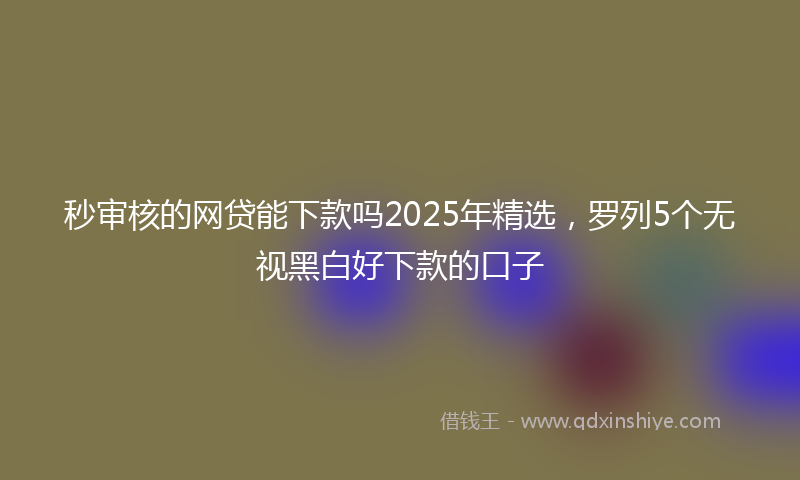 秒审核的网贷能下款吗2025年精选，罗列5个无视黑白好下款的口子