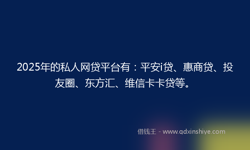 2025年的私人网贷平台有：平安i贷、惠商贷、投友圈、东方汇、维信卡卡贷等。