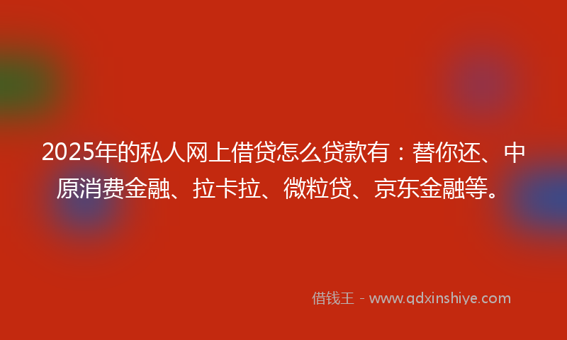 2025年的私人网上借贷怎么贷款有:替你还、中原消费金融、拉卡拉、微粒贷、京东金融等。