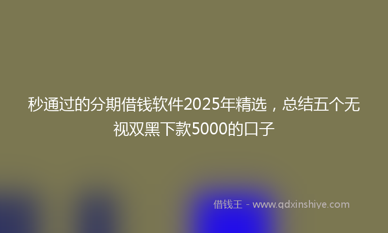 秒通过的分期借钱软件2025年精选，总结五个无视双黑下款5000的口子