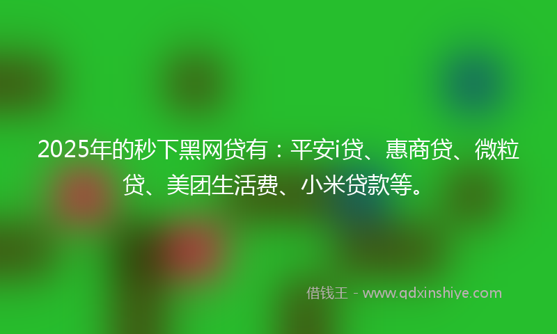 2025年的秒下黑网贷有：平安i贷、惠商贷、微粒贷、美团生活费、小米贷款等。