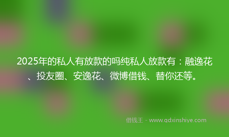 2025年的私人有放款的吗纯私人放款有：融逸花、投友圈、安逸花、微博借钱、替你还等。
