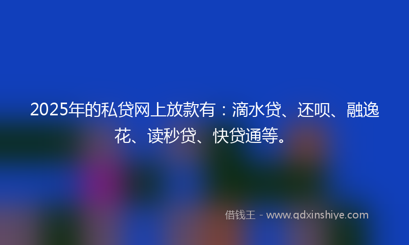 2025年的私贷网上放款有：滴水贷、还呗、融逸花、读秒贷、快贷通等。