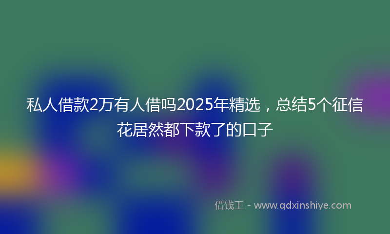 私人借款2万有人借吗2025年精选，总结5个征信花居然都下款了的口子