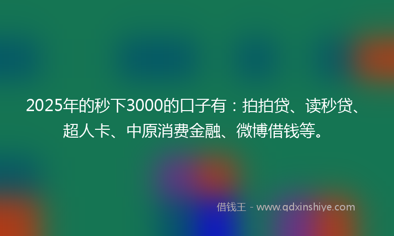 2025年的秒下3000的口子有：拍拍贷、读秒贷、超人卡、中原消费金融、微博借钱等。