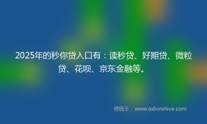 2025年的秒你贷入口有：读秒贷、好期贷、微粒贷、花呗、京东金融等。