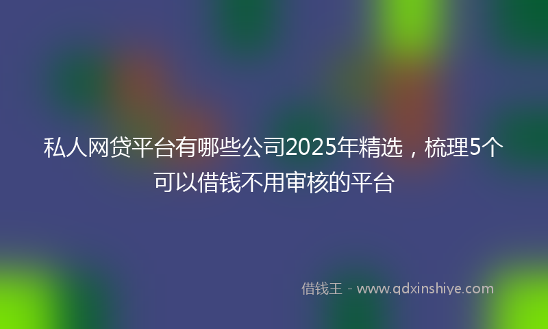 私人网贷平台有哪些公司2025年精选，梳理5个可以借钱不用审核的平台