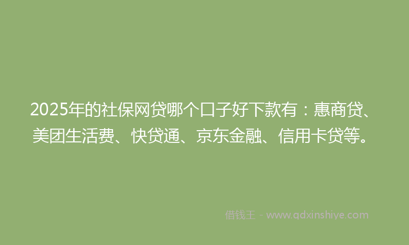 2025年的社保网贷哪个口子好下款有：惠商贷、美团生活费、快贷通、京东金融、信用卡贷等。
