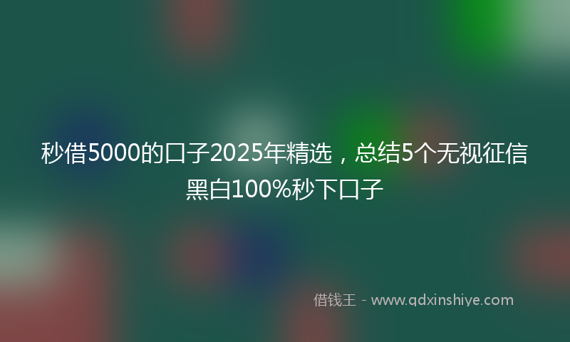 秒借5000的口子2025年精选，总结5个无视征信黑白100%秒下口子