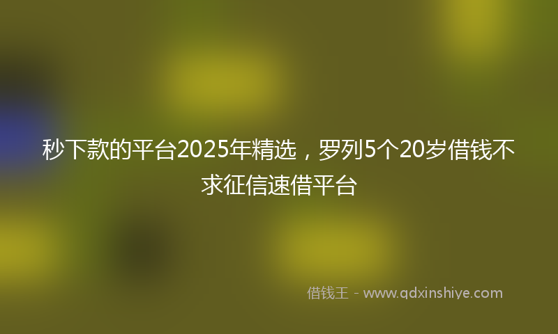 秒下款的平台2025年精选，罗列5个20岁借钱不求征信速借平台