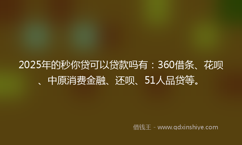 2025年的秒你贷可以贷款吗有：360借条、花呗、中原消费金融、还呗、51人品贷等。